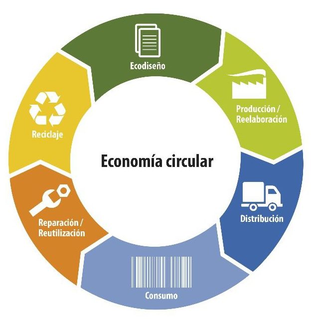 Proceso economia circular