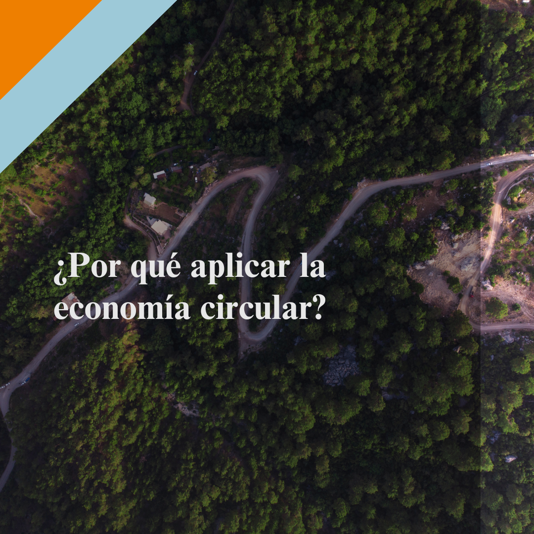 ¿Por qué aplicar la economía circular?